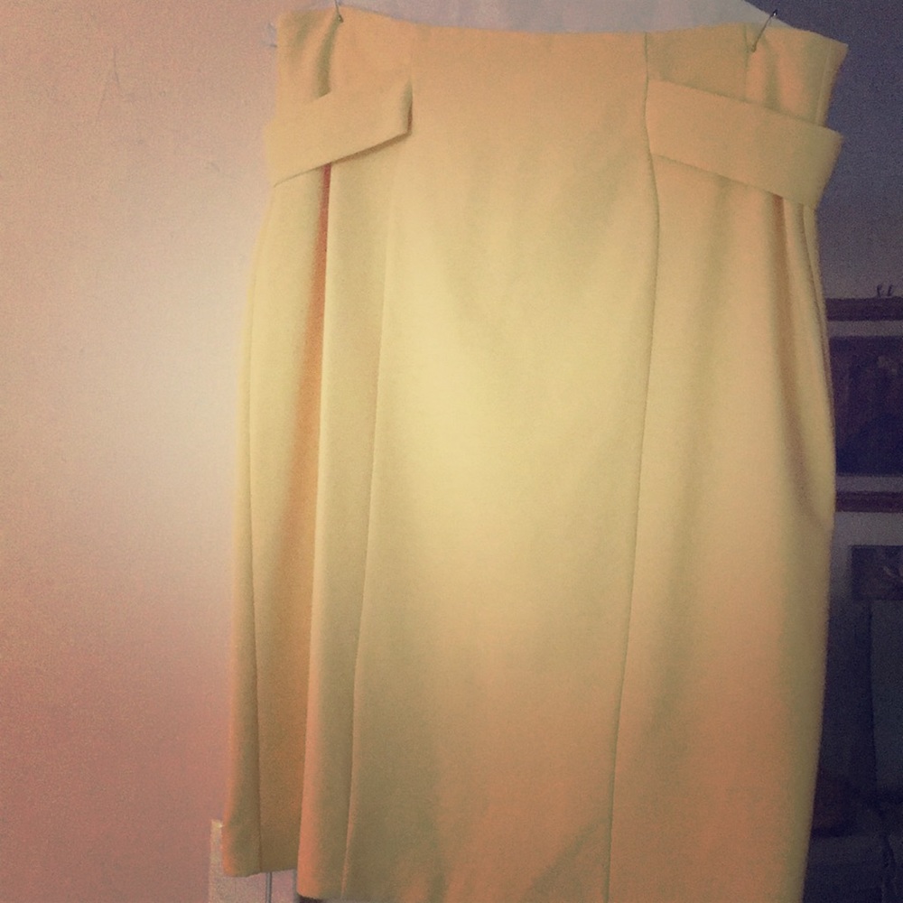 Eva Mendes plus size high waist skirt